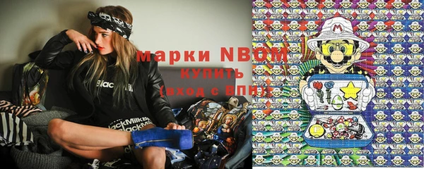 мет Алексин