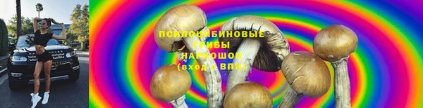 ALPHA PVP Алзамай