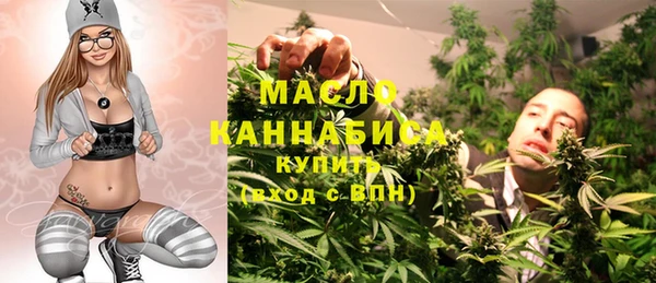 мет Алексин