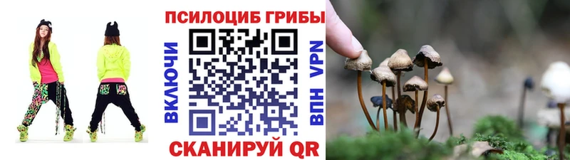 Псилоцибиновые грибы прущие грибы Красноуральск